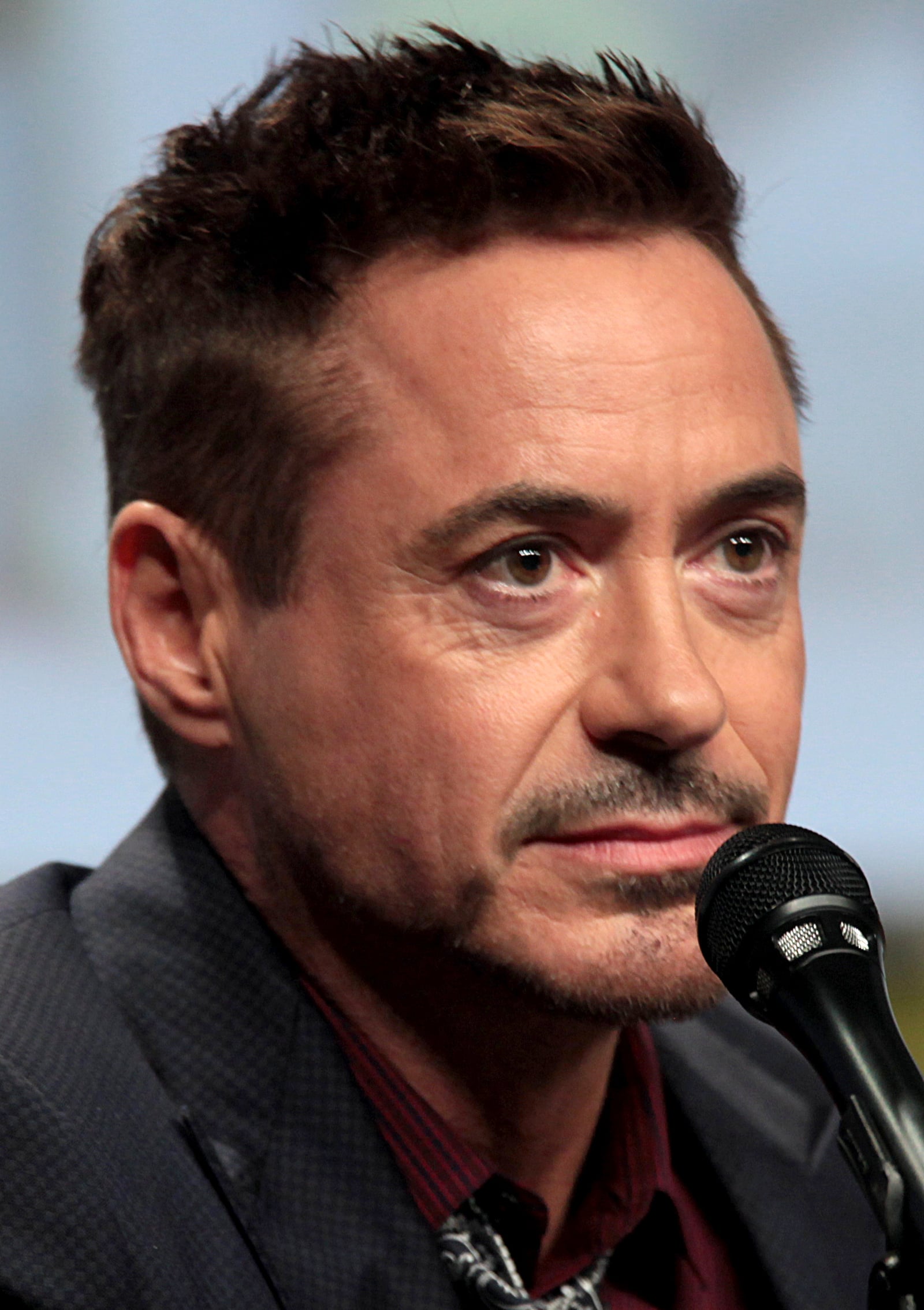 Robert Downey, Jr. speaking at the 2014 San Diego Comic Con International, for "Avengers: Age of Ultron", at the San Diego Convention Center in San Diego, California on July 26, 2014. Photo by Gage Sk