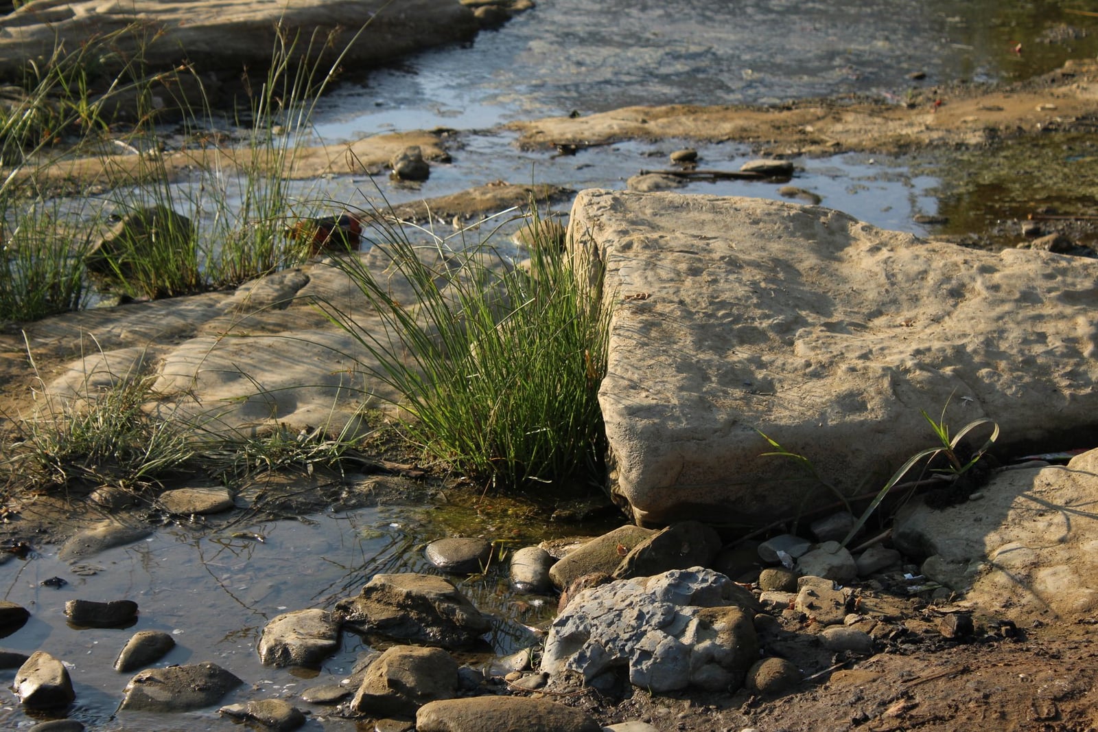 Orilla tranquila del río con piedras, césped y agua que reflejan una escena natural pacífica.