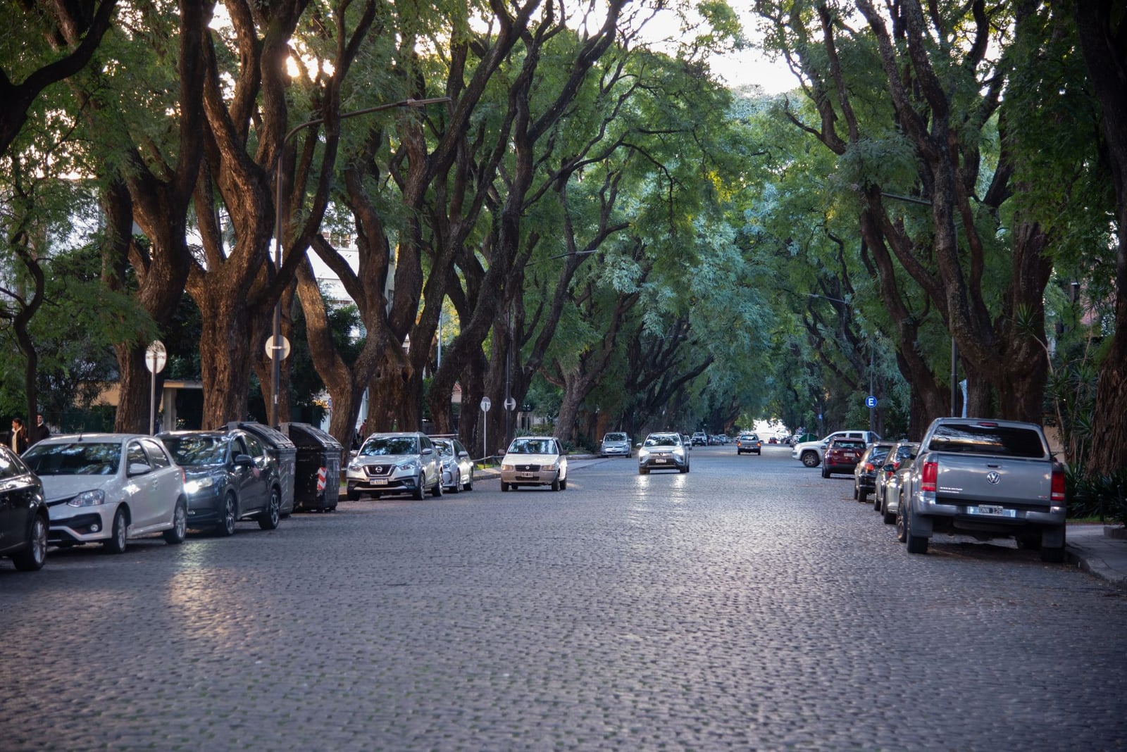 Hermosa calle arbolada con autos estacionados en Buenos Aires, Argentina.